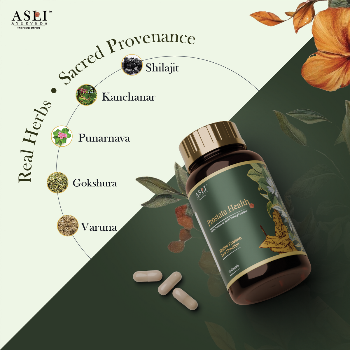 Prostate Health Capsule
