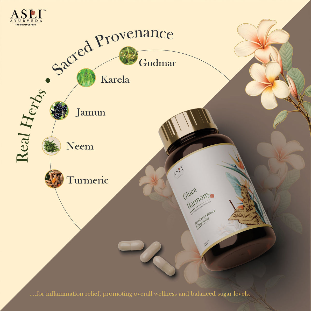 Gluca Harmony Capsule