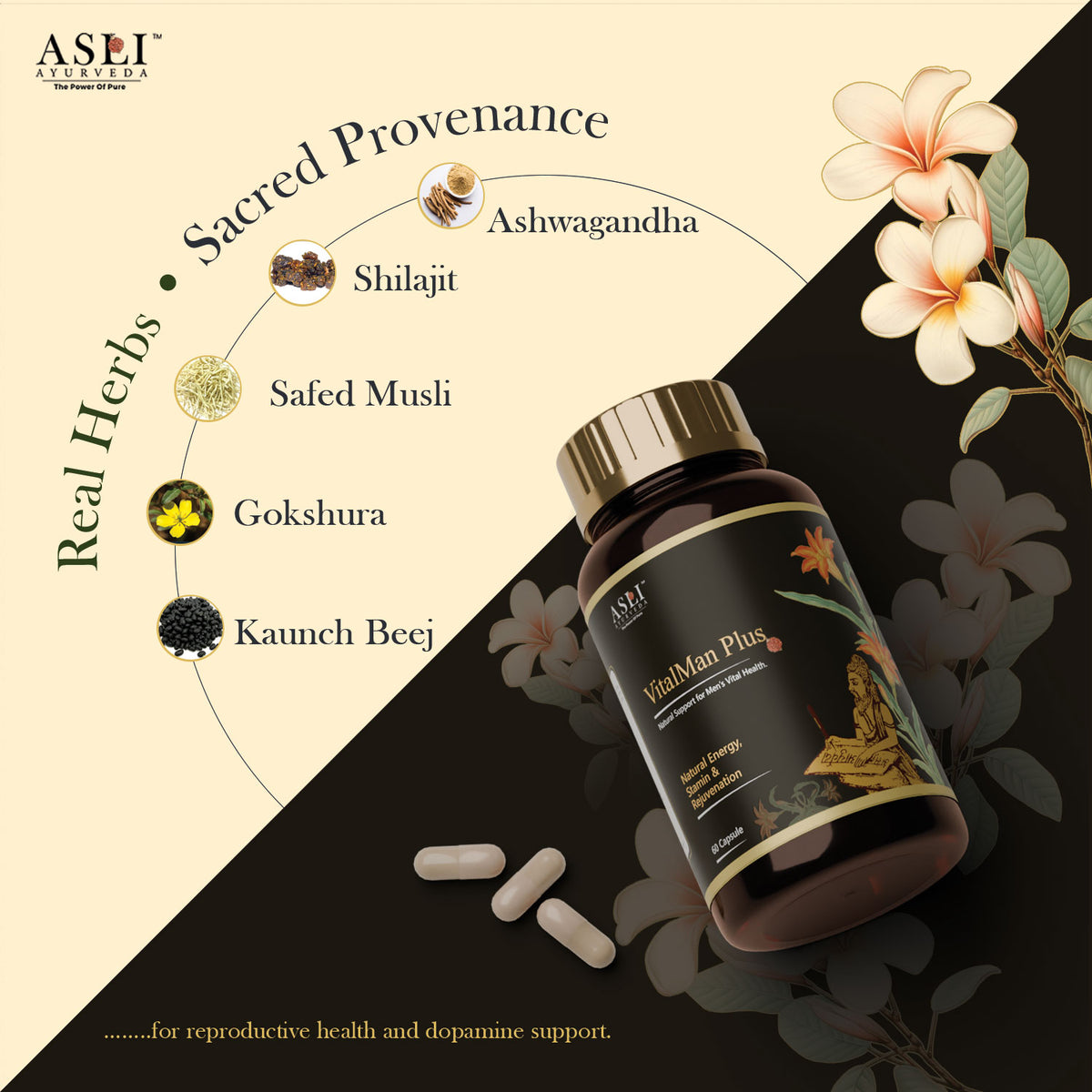 VitalMan Plus Capsule