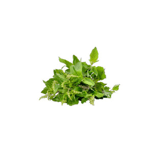 Tulsi